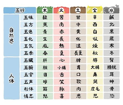 皮膚五行|五行説を覚えて健康を目指そう！ 